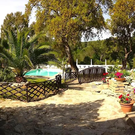 Mit Grill Und Gemeinsamem Pool *